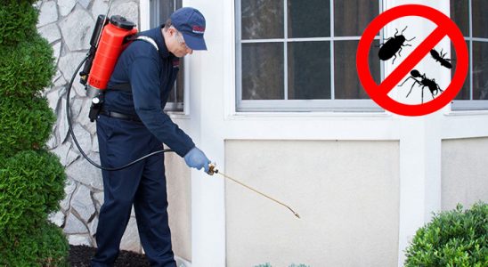 Osmancık Dezenfeksiyon böcek ilaçlama ve haşere kontrolü — ilaclama-tr.com